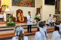 powiększ zdjęcie