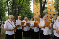 powiększ zdjęcie