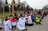 powiększ zdjęcie 