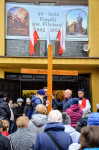powiększ zdjęcie 