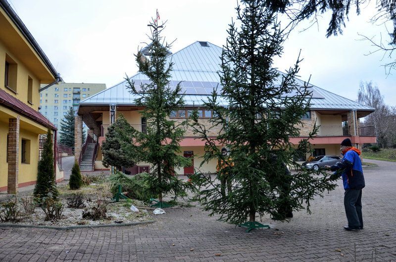 Oprawa i strojenie choinek
