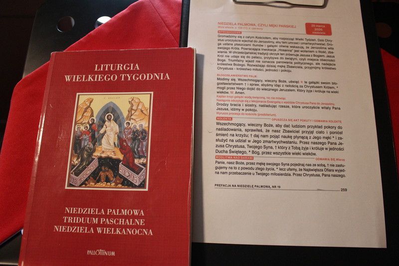 Triumf i męka Jezusa - Niedziela Palmowa