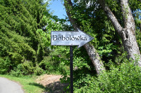 powiększ zdjęcie 