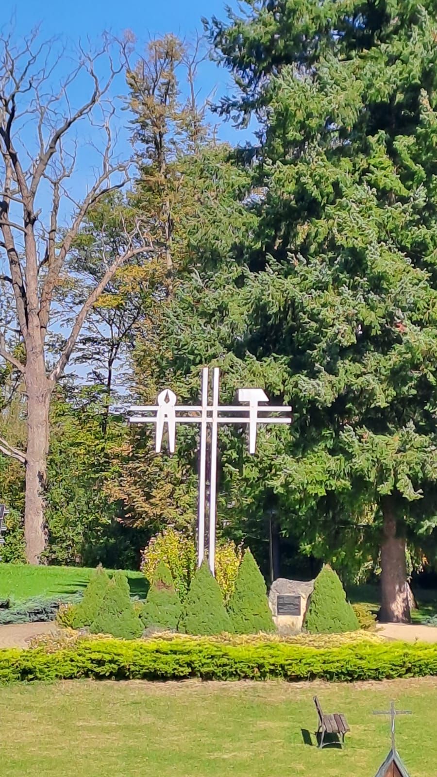 powiększ zdjęcie