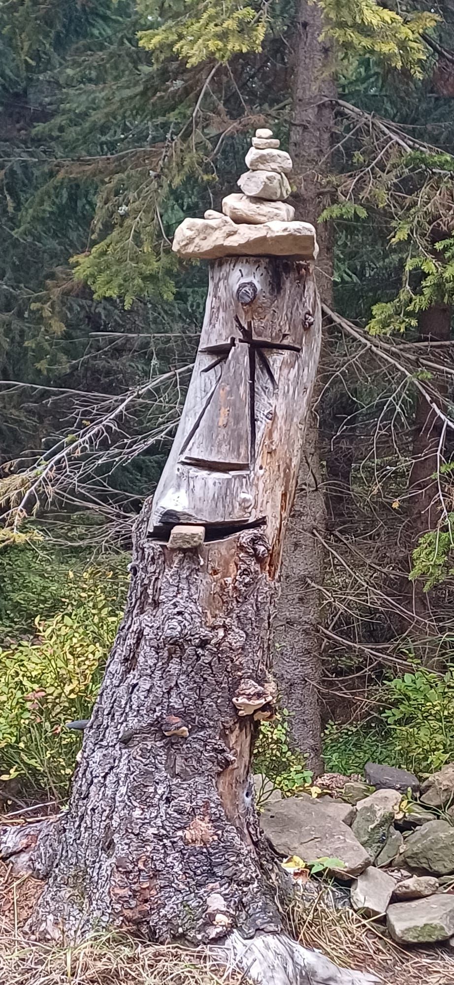 powiększ zdjęcie